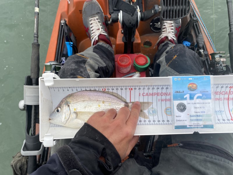 Fish Measure Picture