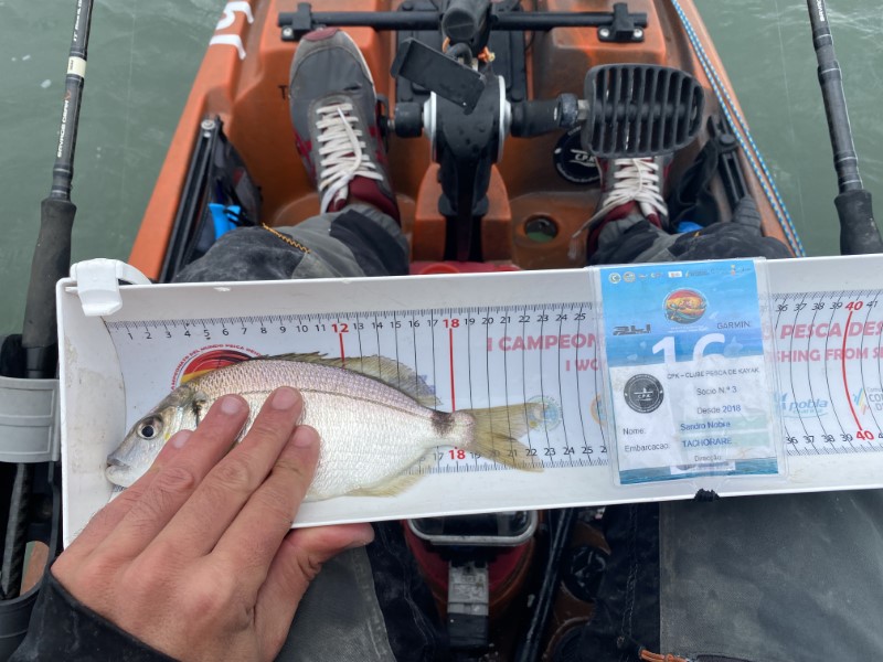 Fish Measure Picture