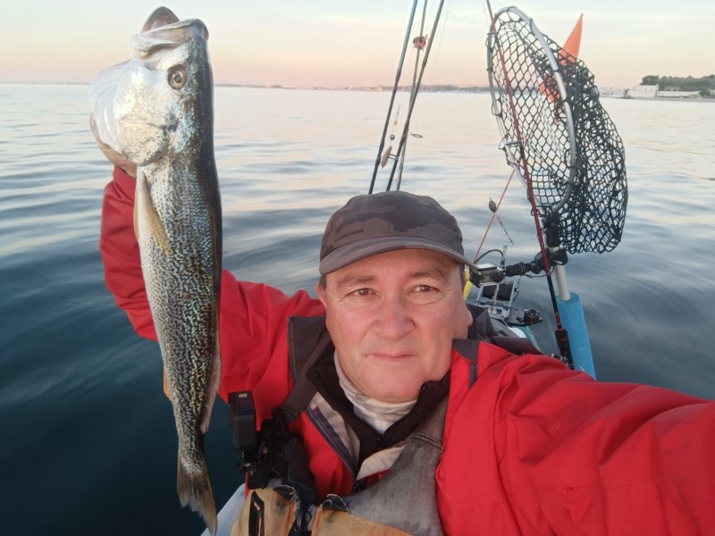 Fish Profile Picture