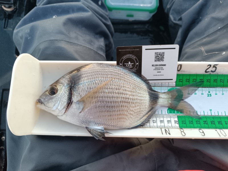 Fish Measure Picture