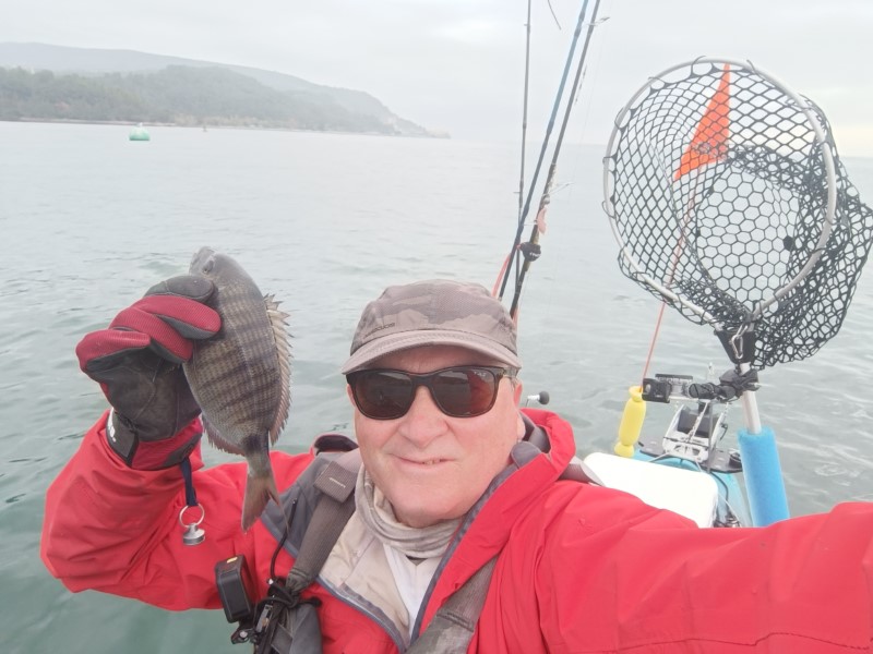 Fish Profile Picture