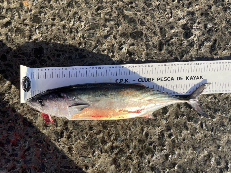 Fish Measure Picture