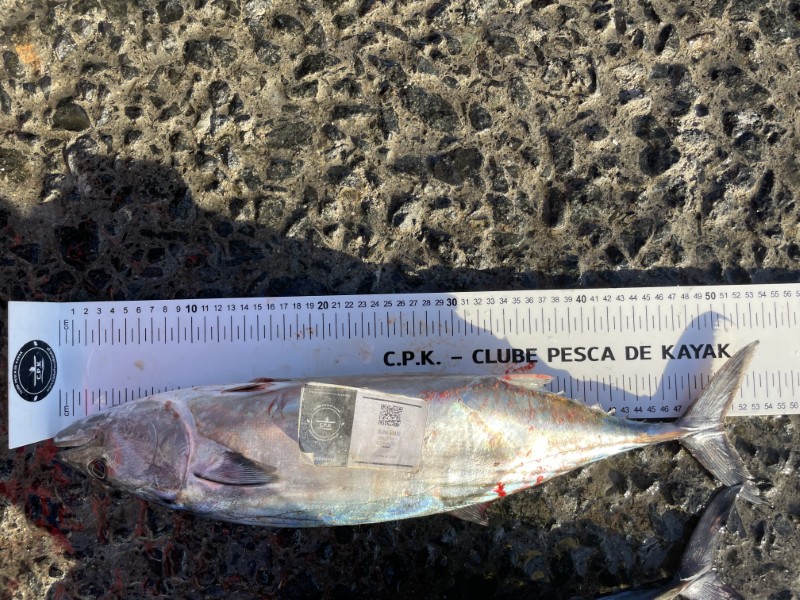 Fish Measure Picture