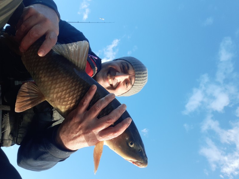 Fish Profile Picture