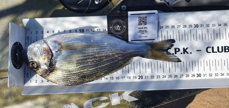 Fish Measure Picture