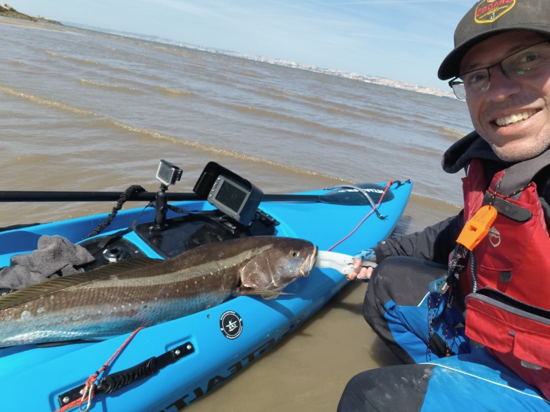Fish Profile Picture
