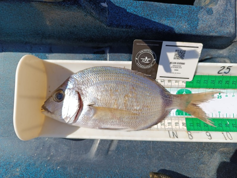 Fish Measure Picture