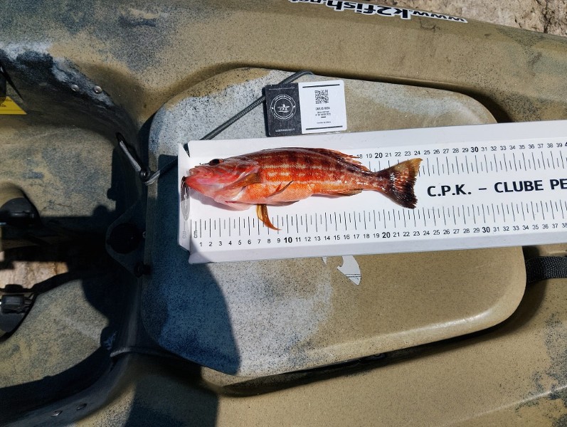 Fish Measure Picture