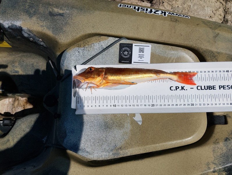 Fish Measure Picture