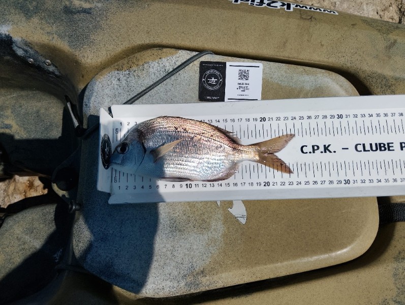 Fish Measure Picture