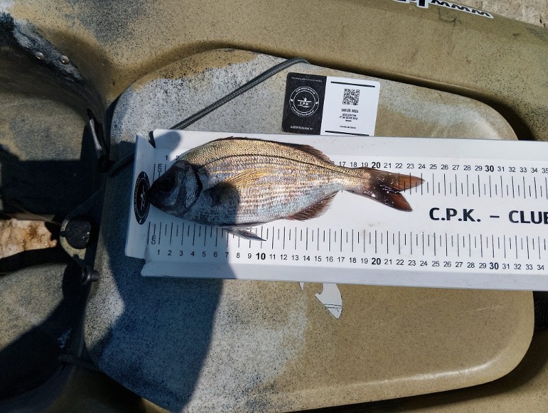 Fish Measure Picture