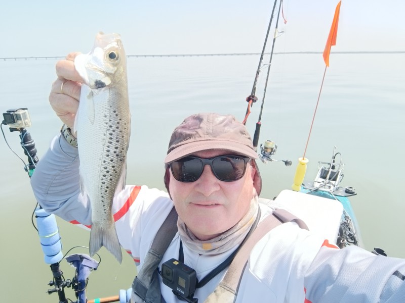 Fish Profile Picture