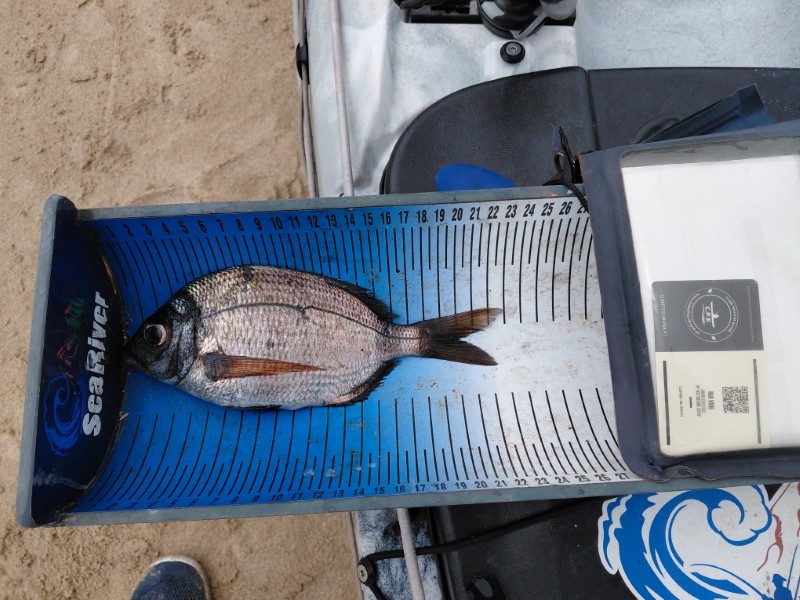 Fish Measure Picture