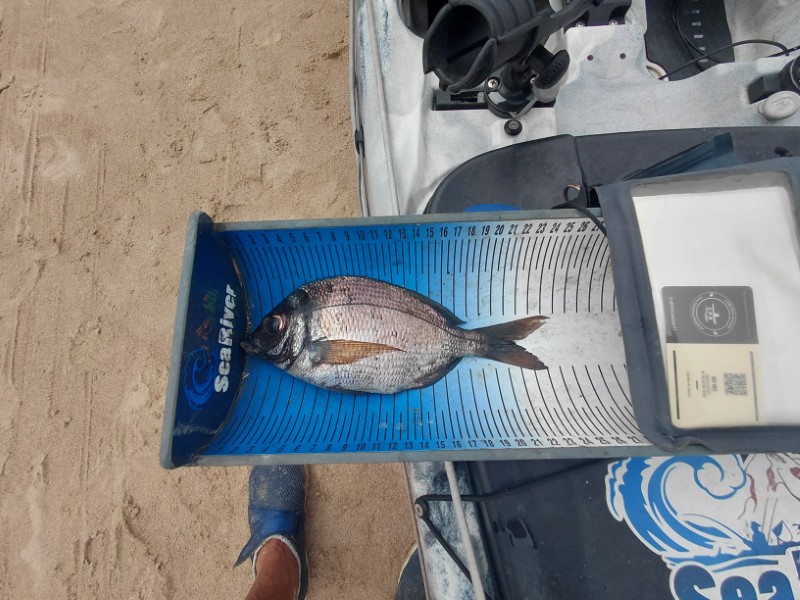Fish Measure Picture
