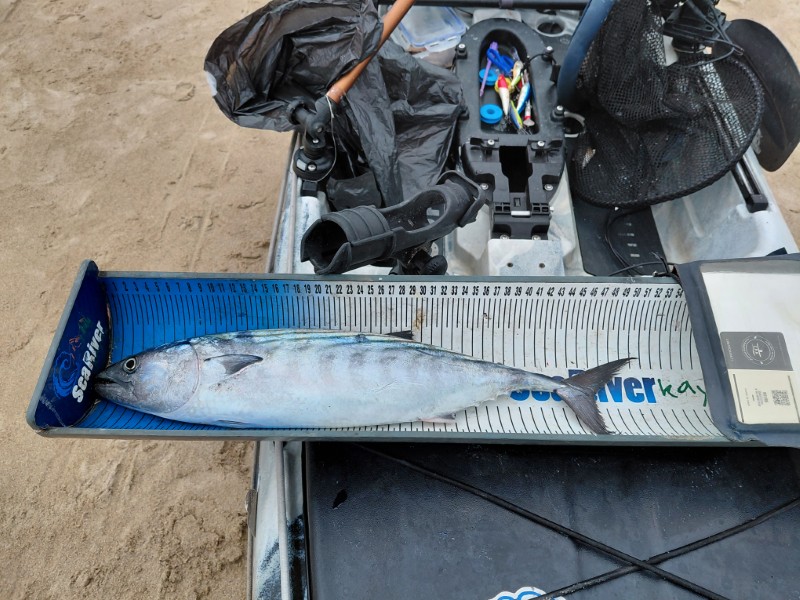 Fish Measure Picture