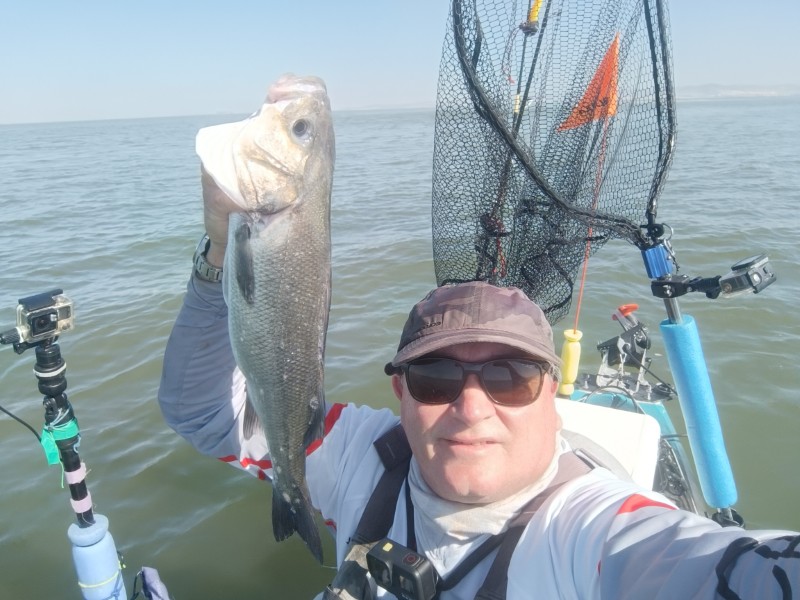 Fish Profile Picture
