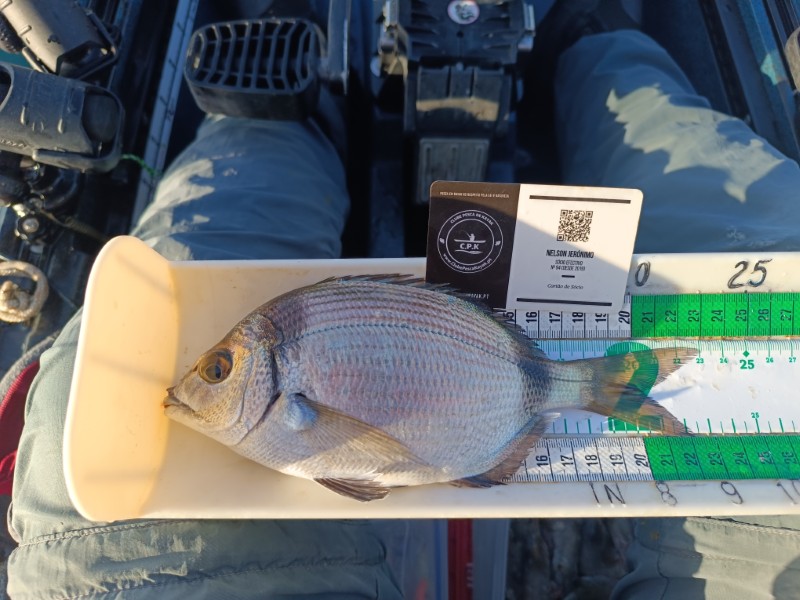 Fish Measure Picture