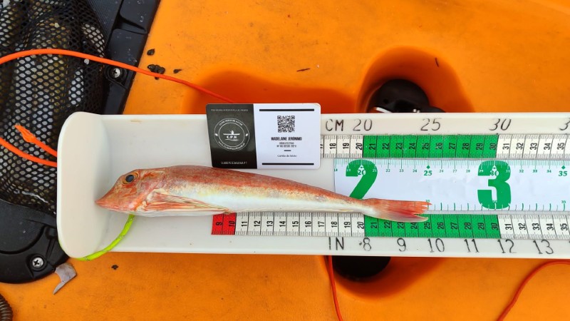 Fish Measure Picture