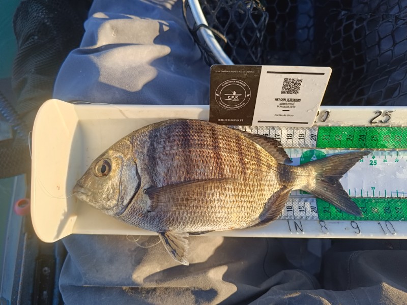 Fish Measure Picture