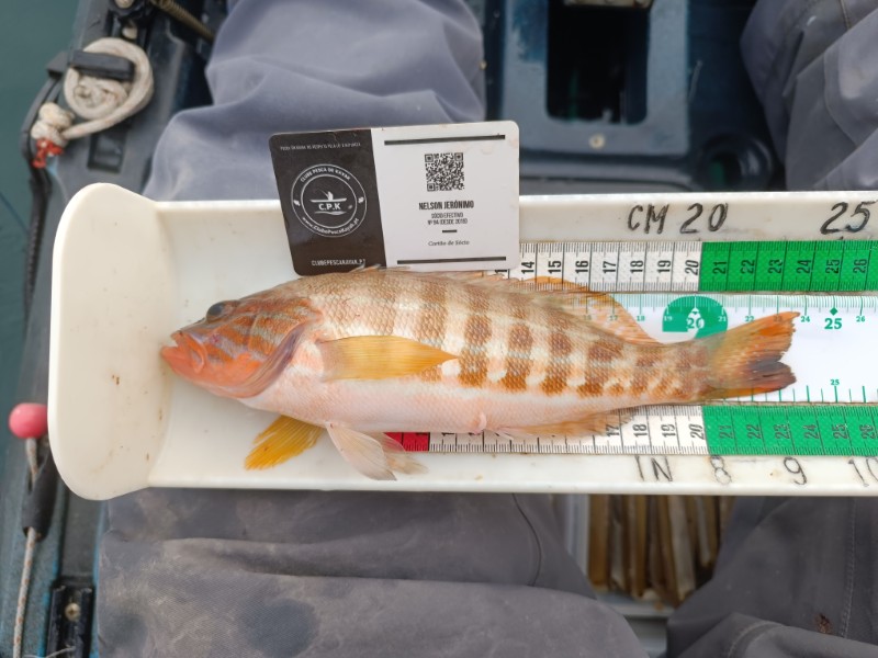 Fish Measure Picture